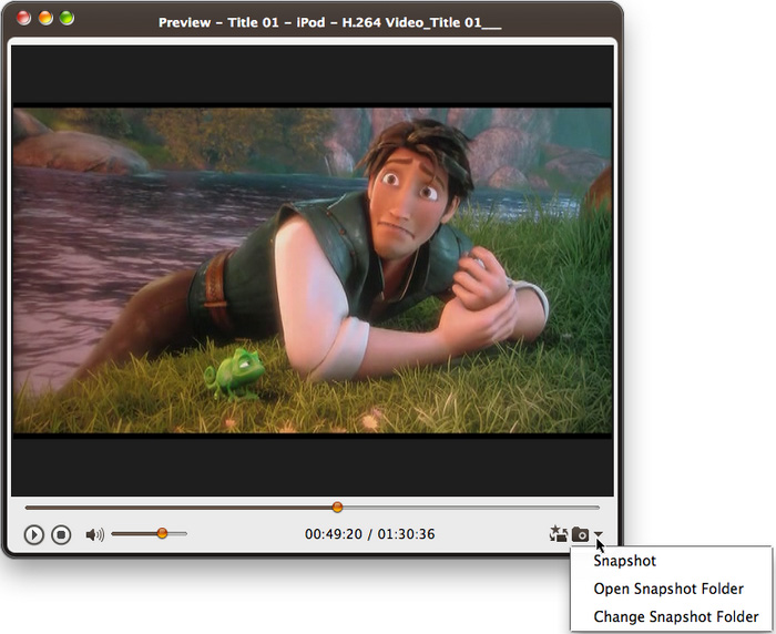 ImTOO DVD to Video Ultimate for Mac